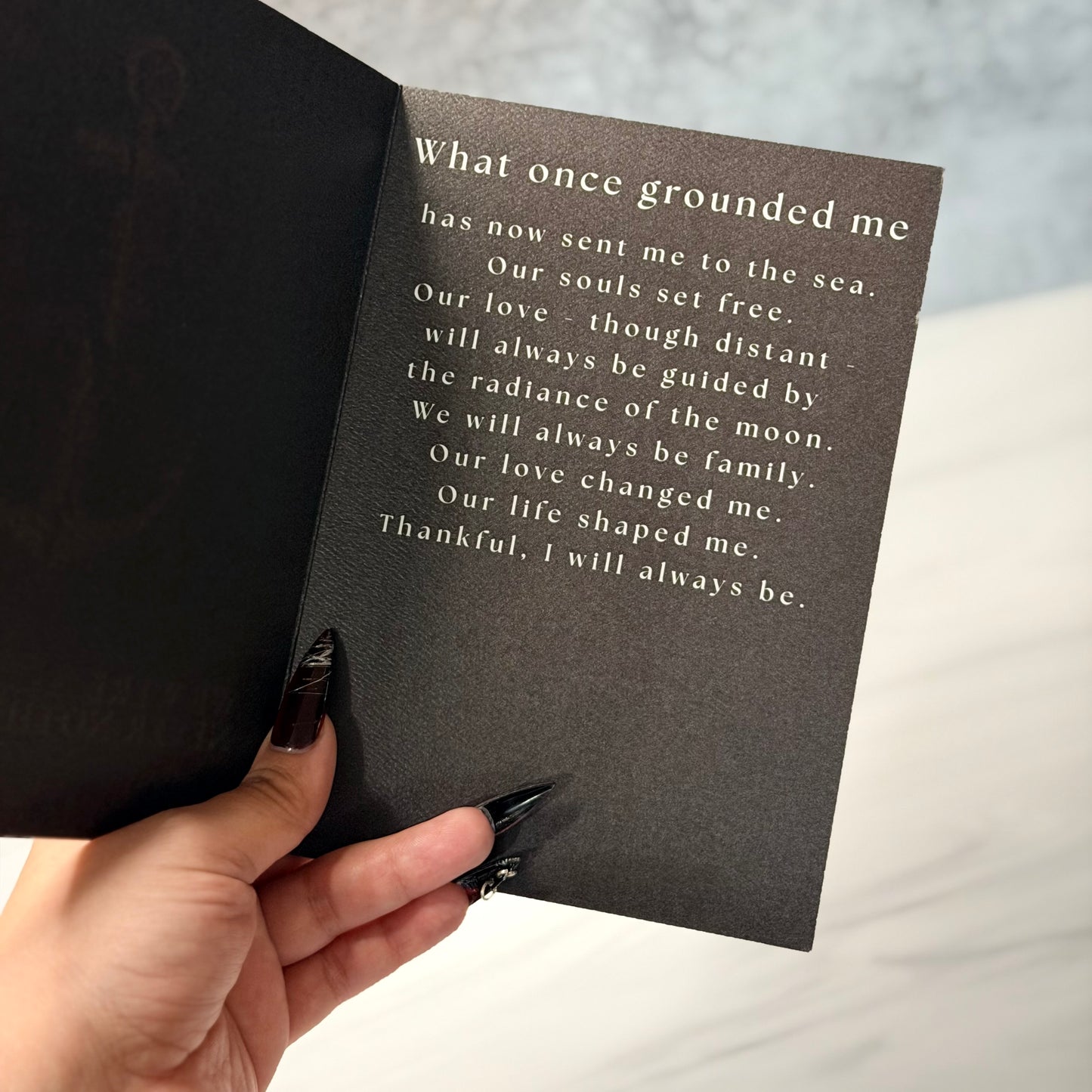 we were never nothing
